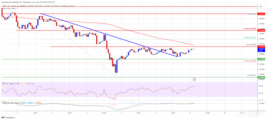 نمودار قیمت ارز ریپل XRP