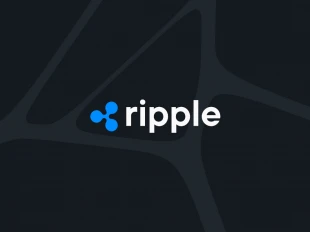 پلتفرم معاملاتی بیت نومیال از کمیسیون بورس و اوراق بهادار آمریکا (SEC) به دادگاه شکایت کرد