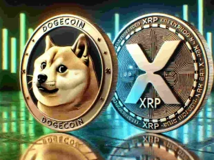 صندوق های ETF ارز دیجیتال: شروع پرقدرت ریپل و دوج کوین