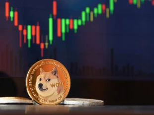 افزایش چشمگیر دوج کوین با توافق تجاری آمریکا و چین