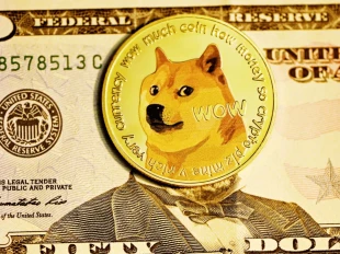 ریزش سنگین دوج کوین و تغییر ساختار بازار؛ هشدار جدید برای معامله گران ارز دیجیتال