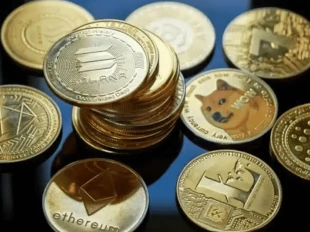 آلت کوین ها از بیت کوین پیشی گرفتند؛ نقش زی کش در افزایش معاملات اهرمی