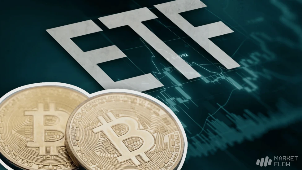 افزایش تقاضا برای ETF های بیت کوین در بحبوحه نزول قیمت