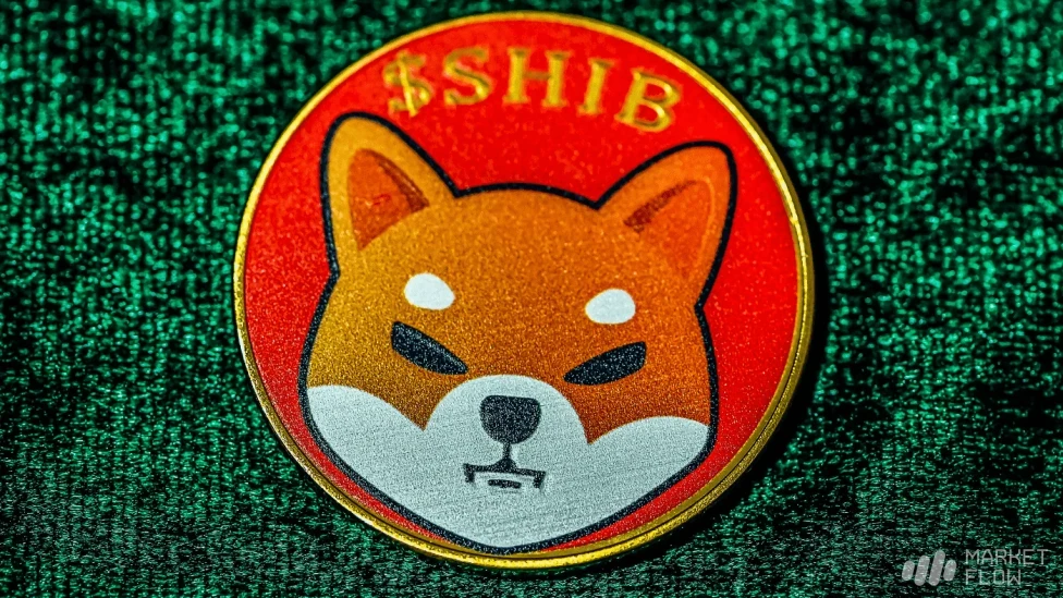 مشکل بازسازماندهی شبکه شیباریوم برطرف شد؛ مهاجرت زیرساخت دی آرپی سی همچنان ادامه دارد